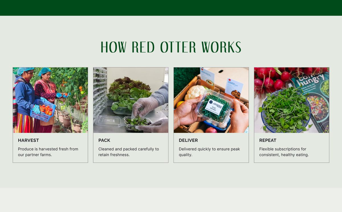 How Red Otter works